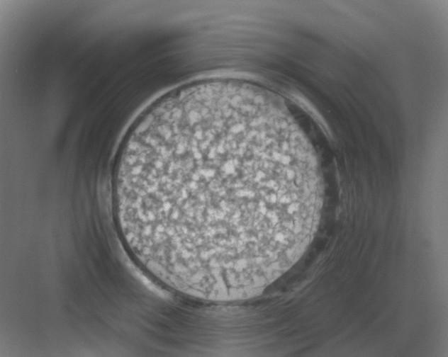 X0000081371092200702082340