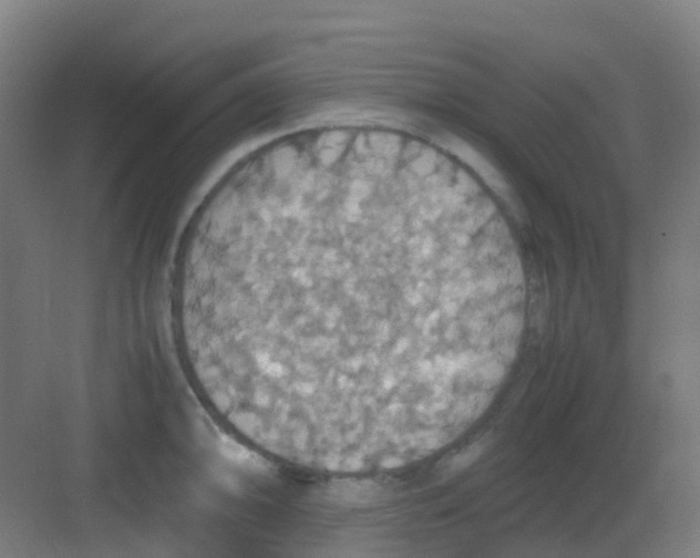 X0000081371094200702082340