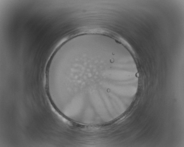 X0000081371095200702082340