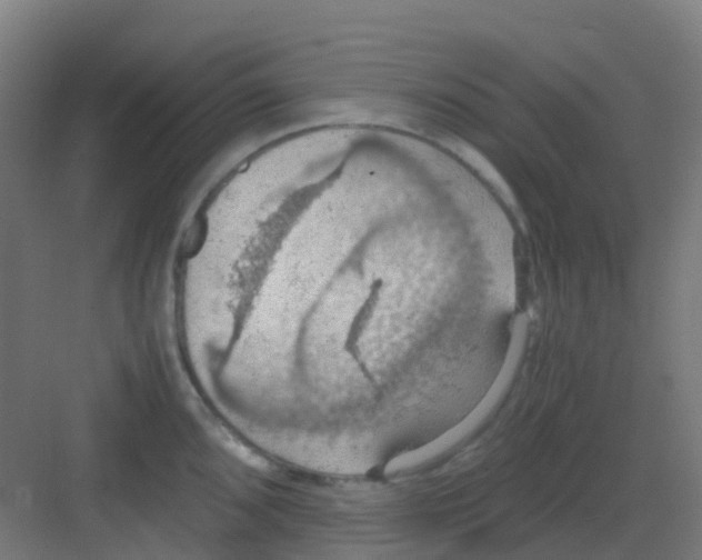 X0000081371096200702082340