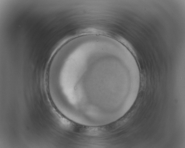 X0000081371098200702082340