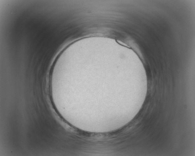 X0000081371099200702082340