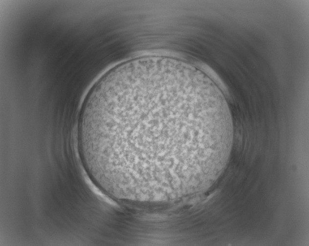 X0000081371100200702082340