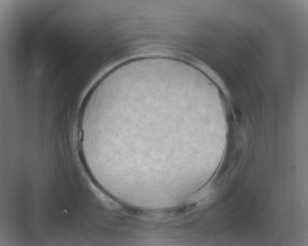 X0000081371101200702082340