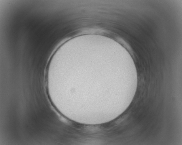 X0000081371103200702082340