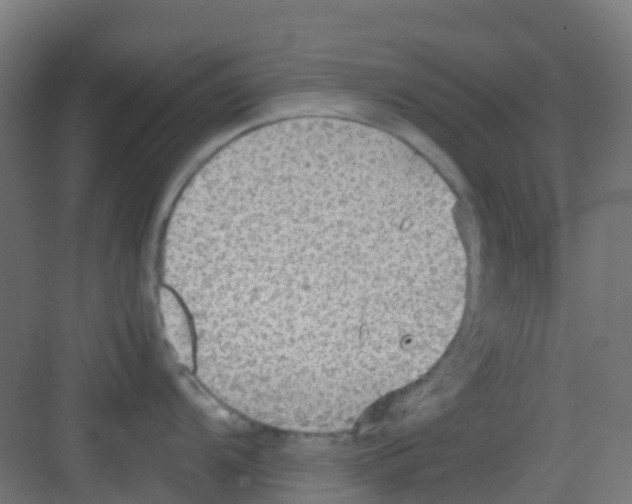 X0000081371104200702082340