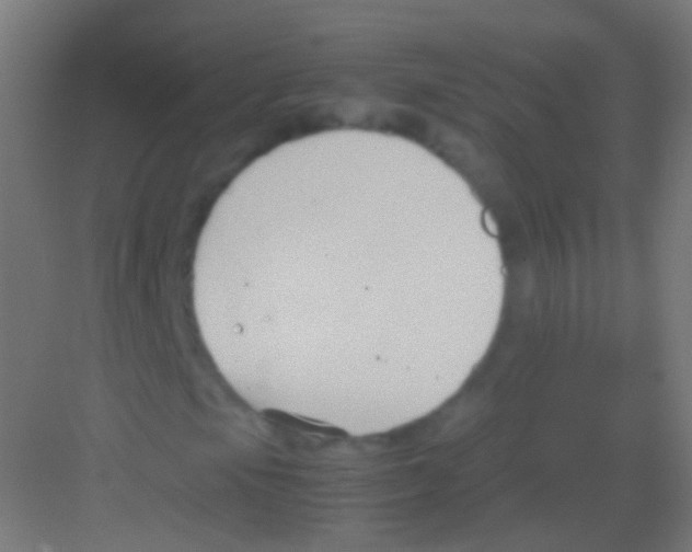 X0000081371105200702082339