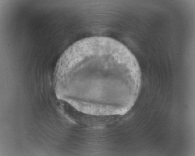 X0000081371106200702082339