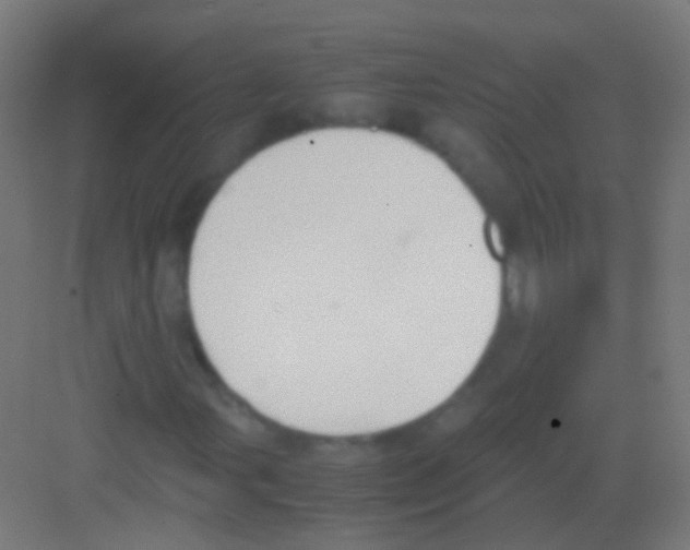 X0000081371107200702082339