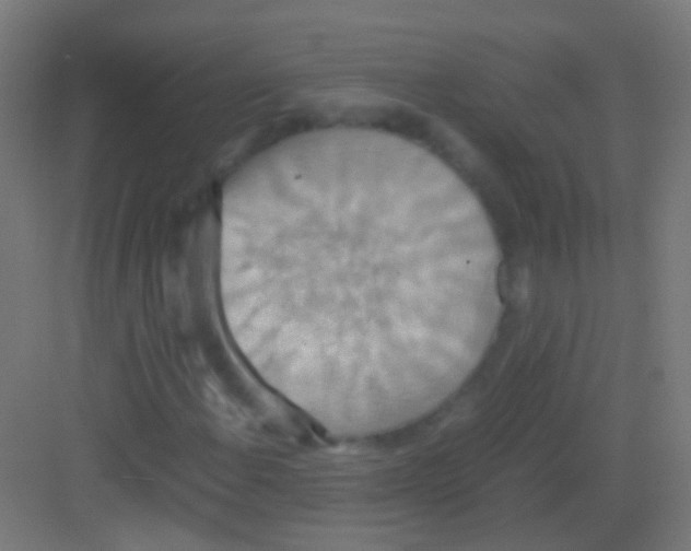 X0000081371108200702082339