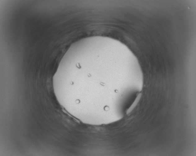 X0000081371109200702082339