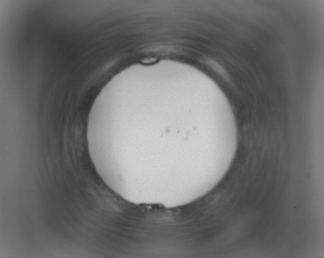 X0000081371111200702082339