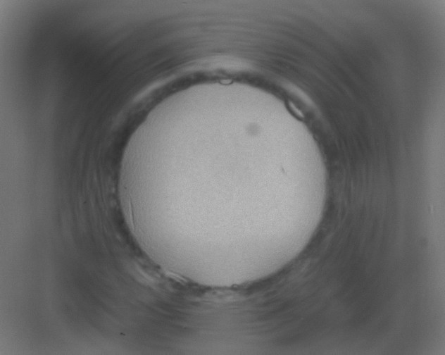 X0000081371112200702082339