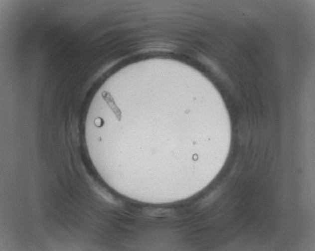 X0000081371113200702082339