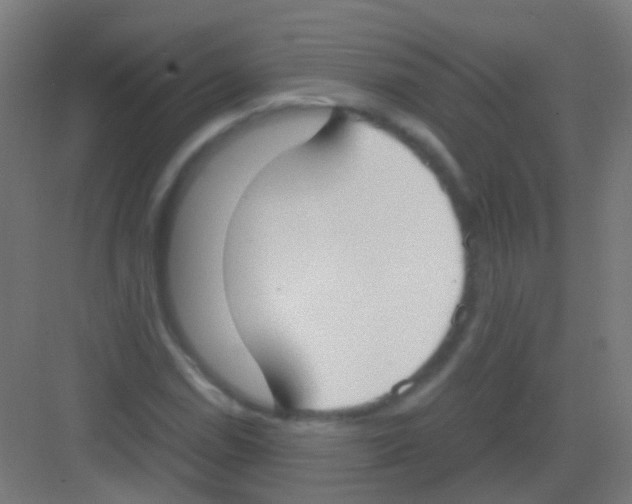 X0000081371114200702082339