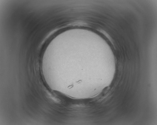 X0000081371115200702082339