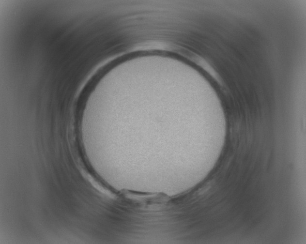 X0000081371116200702082339