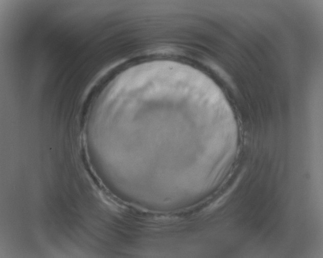 X0000081371117200702082339