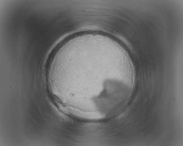 X0000081371118200702082339