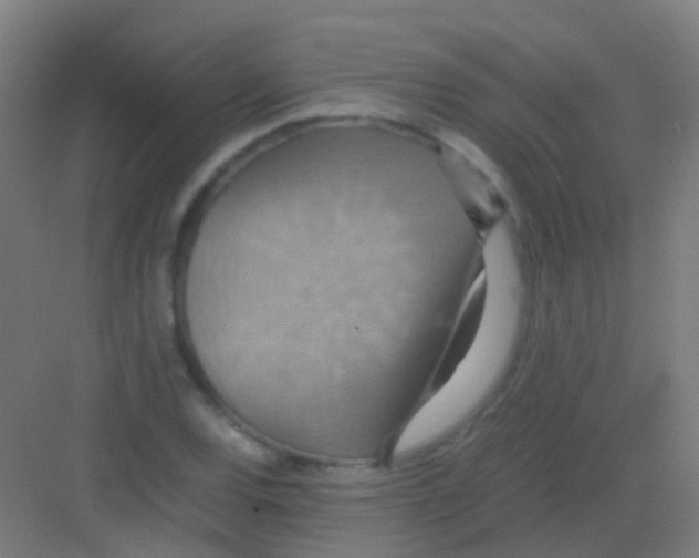 X0000081371120200702082339