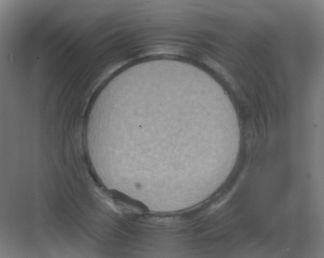 X0000081371121200702082339