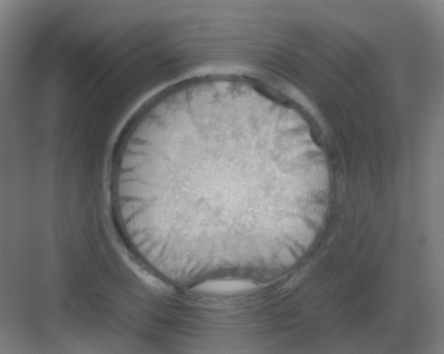 X0000081371124200702082339