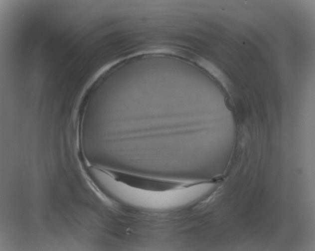 X0000081371127200702082339