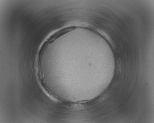 X0000081371128200702082339