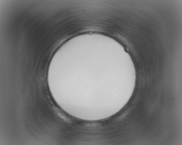 X0000081371129200702082339