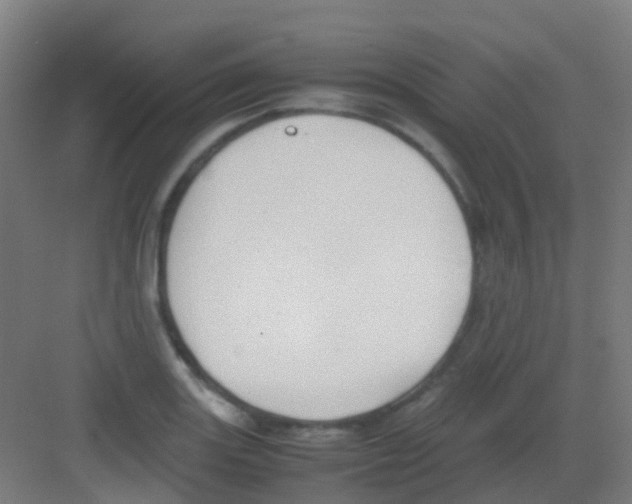 X0000081371131200702082339