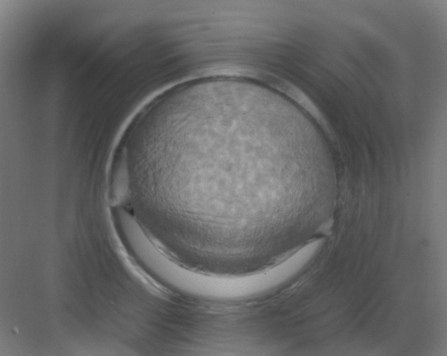 X0000081371132200702082339