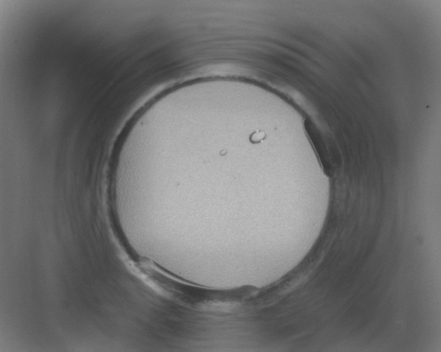 X0000081371134200702082339