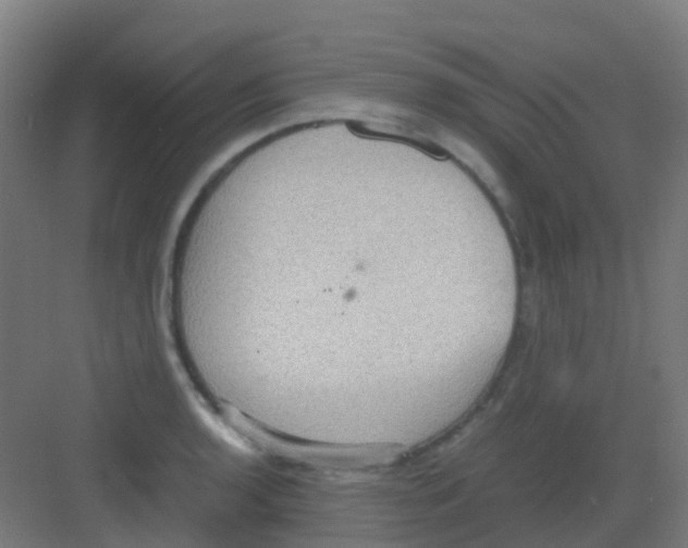 X0000081371136200702082339