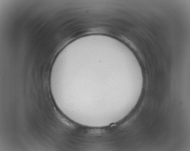 X0000081371137200702082339