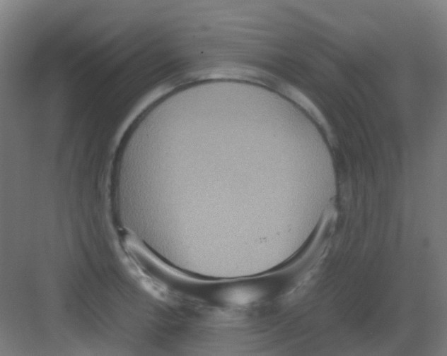 X0000081371138200702082339