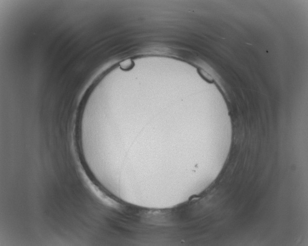 X0000081371139200702082339