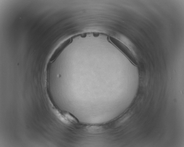 X0000081371140200702082339