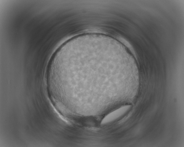 X0000081371141200702082339