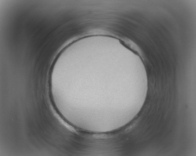 X0000081371142200702082339