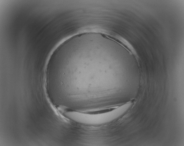 X0000081371144200702082339