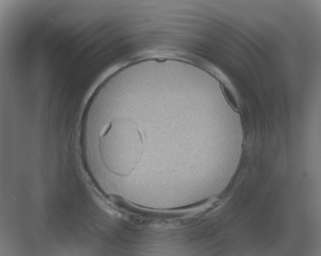 X0000081371146200702082339