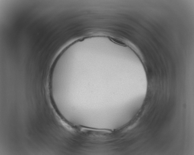 X0000081371149200702082339