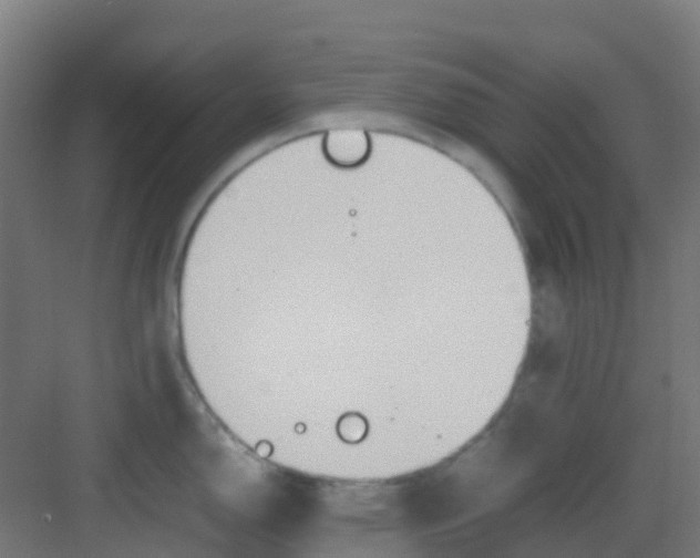 X0000081371150200702082339