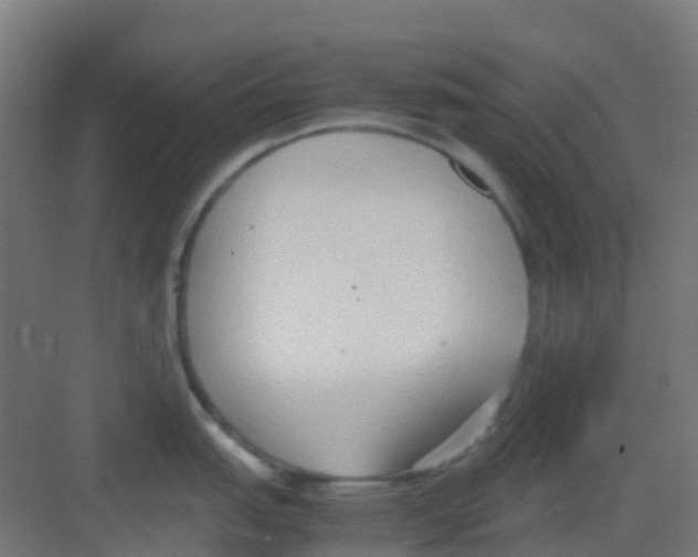 X0000081371151200702082340