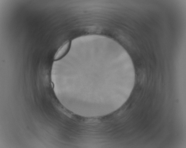 X0000081371154200702082339