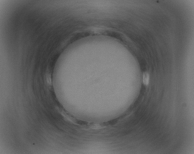 X0000081371155200702082339