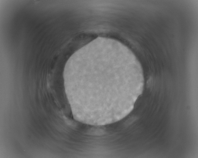 X0000081371156200702082339