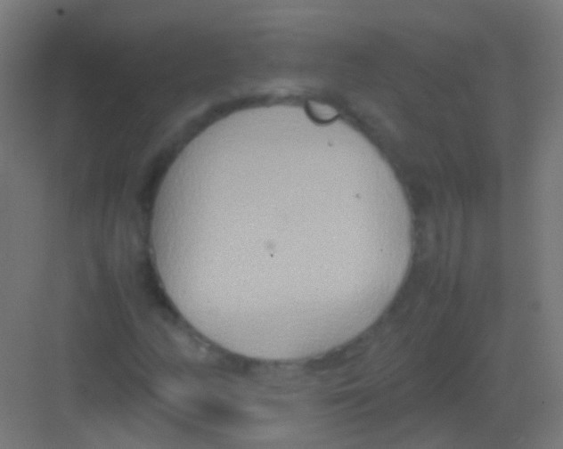 X0000081371158200702082339