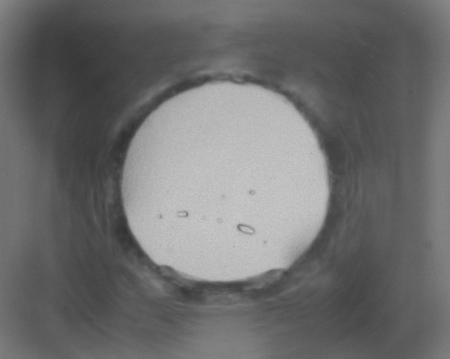 X0000081371159200702082339