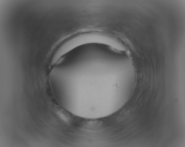 X0000081371160200702082339